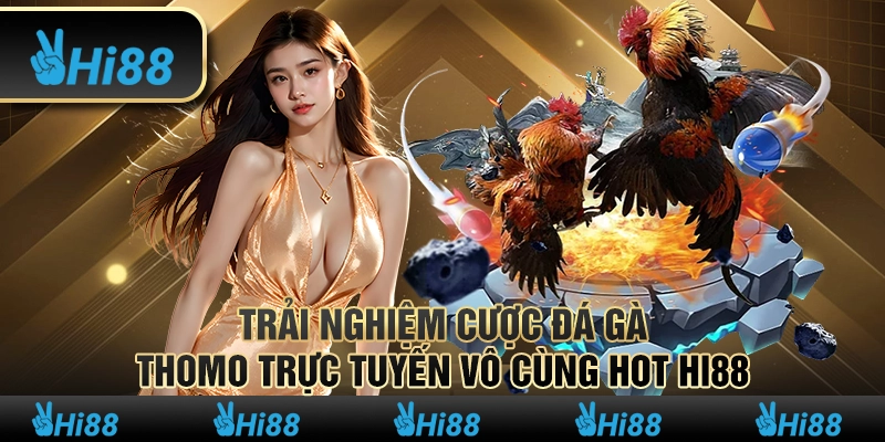 Trải Nghiệm Cược Đá Gà Thomo Trực Tuyến Vô Cùng Hot Hi88