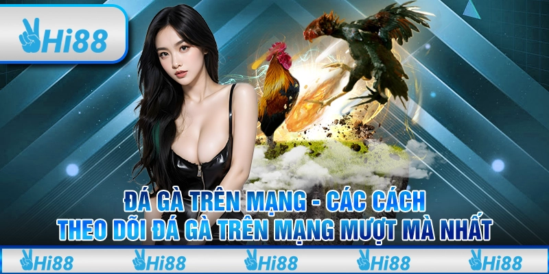 Đá gà trên mạng - Các cách theo dõi đá gà trên mạng mượt mà nhất