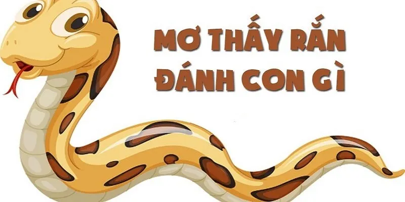 Những con số may mắn cần thử sau khi nằm mơ thấy rắn
