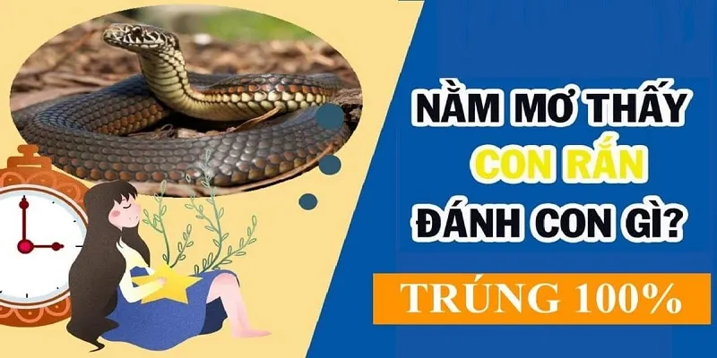 Luôn vận dụng những chiến lược sáng suốt