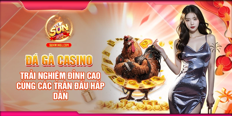 da-ga-casino-trai-nghiem-dinh-cao-cung-cac-tran-dau-hap-dan
