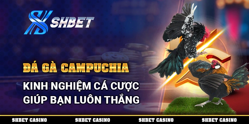 Đá Gà Campuchia