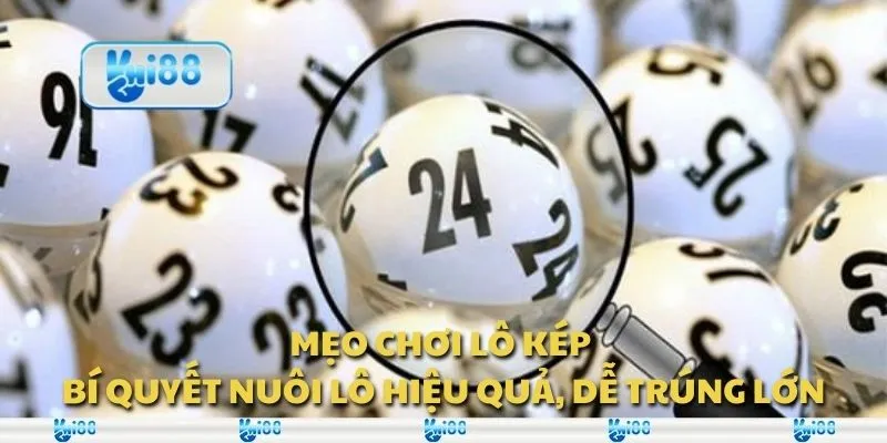 Mẹo chơi lô kép - Bí quyết nuôi lô hiệu quả, dễ trúng lớn
