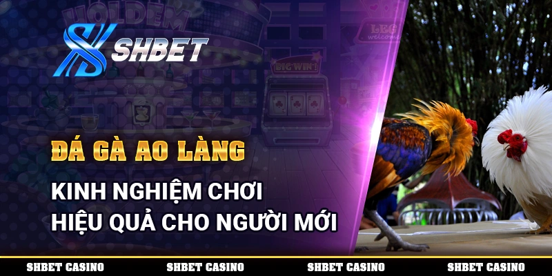 Đá Gà Ao Làng