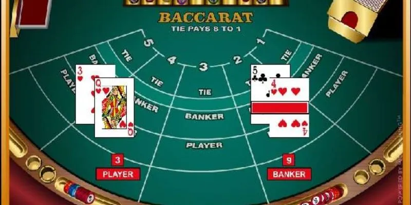 Phân tích về các cửa cược baccarat phổ biến