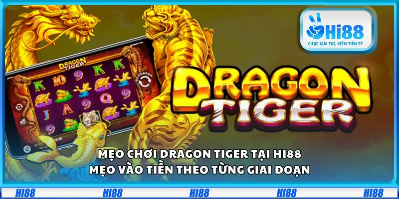 Mẹo chơi Dragon Tiger tại Hi88: Mẹo vào tiền theo từng giai đoạn