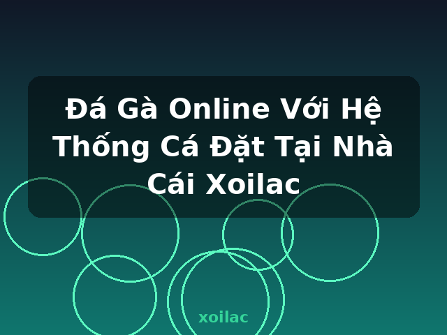 Đá Gà Online Với Hệ Thống Cá Đặt Tại Nhà Cái Xoilac - xoilac