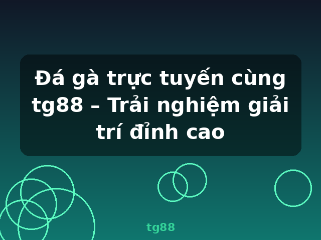 Đá gà trực tuyến cùng tg88 – Trải nghiệm giải trí đỉnh cao - tg88