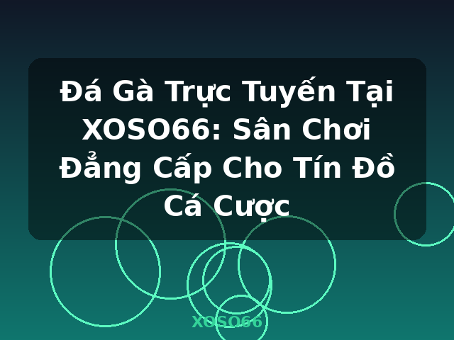 Đá Gà Trực Tuyến Tại XOSO66: Sân Chơi Đẳng Cấp Cho Tín Đồ Cá Cược - XOSO66