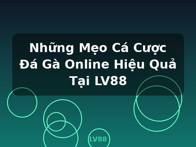 Những Mẹo Cá Cược Đá Gà Online Hiệu Quả Tại LV88 - LV88