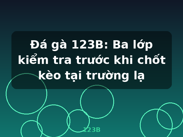 Đá gà 123B: Ba lớp kiểm tra trước khi chốt kèo tại trường lạ - 123B