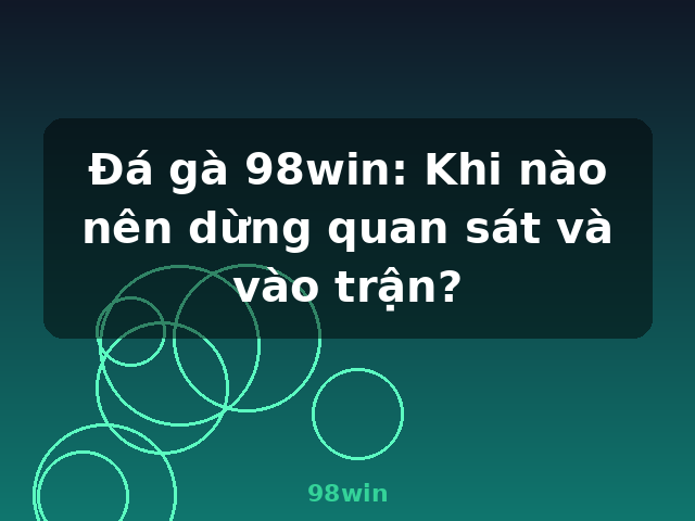 Đá gà 98win: Khi nào nên dừng quan sát và vào trận? - 98win