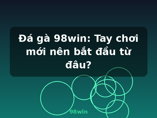 Đá gà 98win: Tay chơi mới nên bắt đầu từ đâu? - 98win