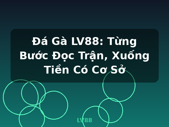 Đá Gà LV88: Từng Bước Đọc Trận, Xuống Tiền Có Cơ Sở - LV88