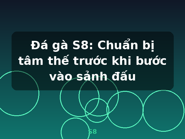 Đá gà S8: Chuẩn bị tâm thế trước khi bước vào sảnh đấu - S8
