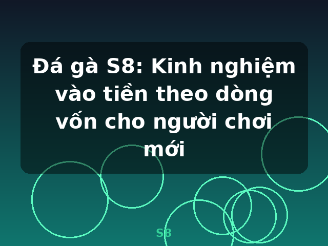 Đá gà S8: Kinh nghiệm vào tiền theo dòng vốn cho người chơi mới - S8