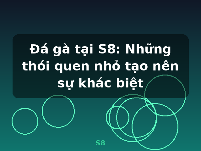 Đá gà tại S8: Những thói quen nhỏ tạo nên sự khác biệt - S8