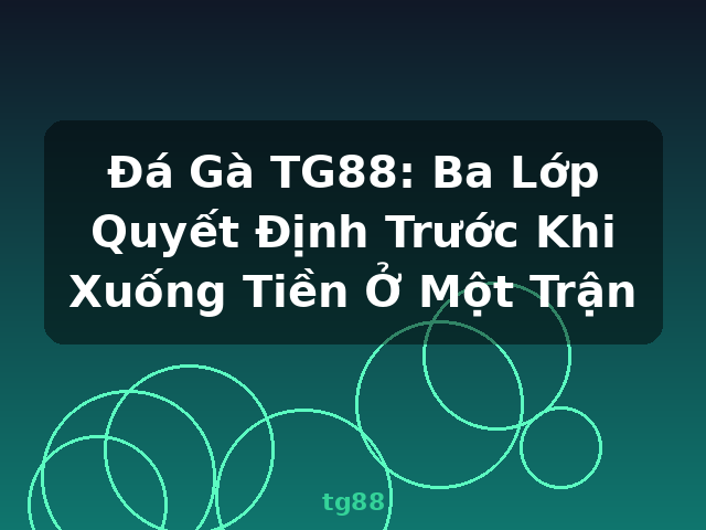 Đá Gà TG88: Ba Lớp Quyết Định Trước Khi Xuống Tiền Ở Một Trận - tg88