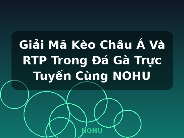 Giải Mã Kèo Châu Á Và RTP Trong Đá Gà Trực Tuyến Cùng NOHU - NOHU
