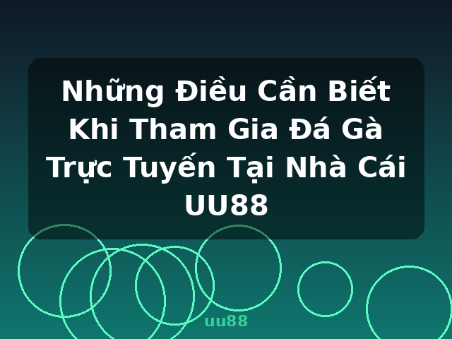 Những Điều Cần Biết Khi Tham Gia Đá Gà Trực Tuyến Tại Nhà Cái UU88 - uu88