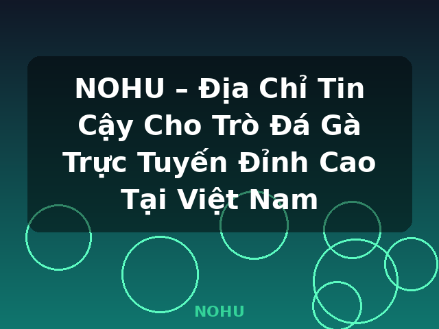 NOHU – Địa Chỉ Tin Cậy Cho Trò Đá Gà Trực Tuyến Đỉnh Cao Tại Việt Nam - NOHU