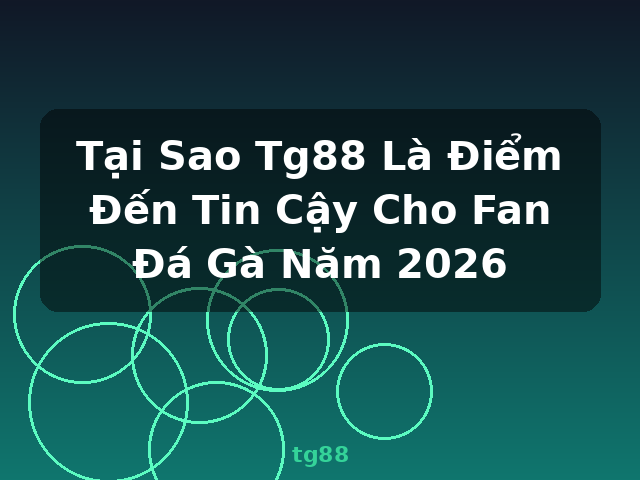 Tại Sao Tg88 Là Điểm Đến Tin Cậy Cho Fan Đá Gà Năm 2026 - tg88
