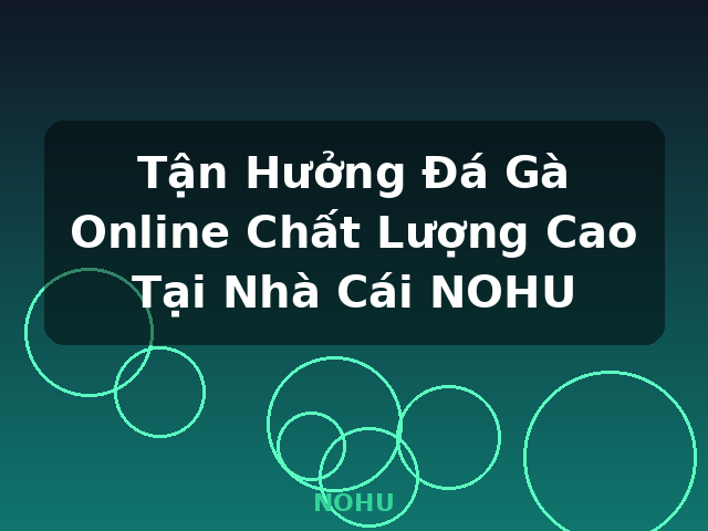 Tận Hưởng Đá Gà Online Chất Lượng Cao Tại Nhà Cái NOHU - NOHU