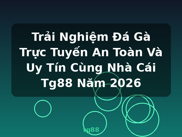 Trải Nghiệm Đá Gà Trực Tuyến An Toàn Và Uy Tín Cùng Nhà Cái Tg88 Năm 2026 - tg88
