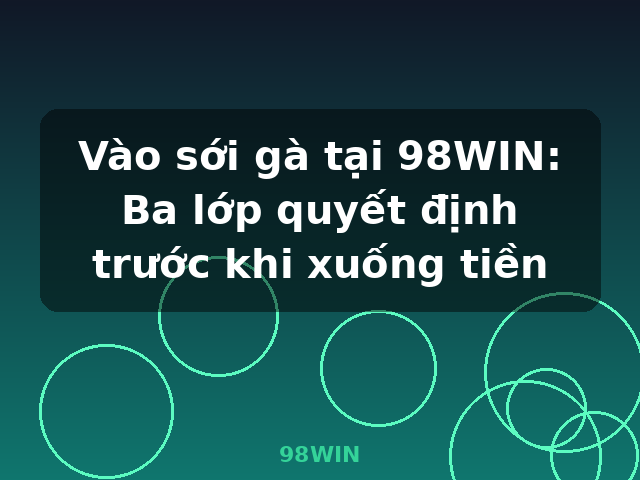 Vào sới gà tại 98WIN: Ba lớp quyết định trước khi xuống tiền - 98WIN